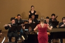 Orquestra de Câmara Carioca (2013)